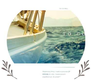 portfolio - strony www